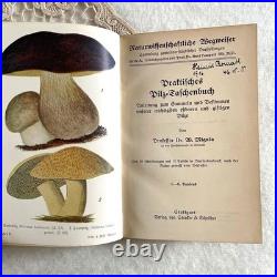 German 1910 Mushroom Botanical Illustration Book Vintage Antique Fraktur Condit