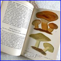 German 1910 Mushroom Botanical Illustration Book Vintage Antique Fraktur Condit