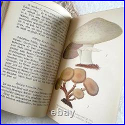 German 1910 Mushroom Botanical Illustration Book Vintage Antique Fraktur Condit