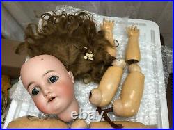 German Antique Bisque Queen Louise Doll 305 /10