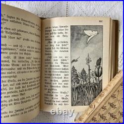 German Antique Book Blumen Märchen 1925 Fairy Tale of Flowers Vintage