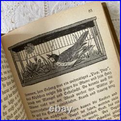 German Antique Book Blumen Märchen 1925 Fairy Tale of Flowers Vintage