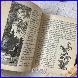 German Antique Book Blumen Märchen 1925 Fairy Tale of Flowers Vintage