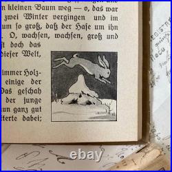 German Antique Book Blumen Märchen 1925 Fairy Tale of Flowers Vintage