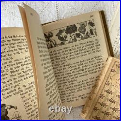 German Antique Book Blumen Märchen 1925 Fairy Tale of Flowers Vintage