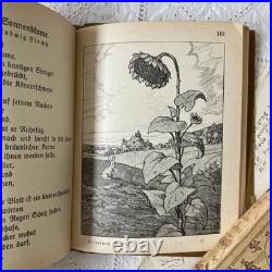 German Antique Book Blumen Märchen 1925 Fairy Tale of Flowers Vintage