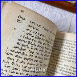 German Antique Book Blumen Märchen 1925 Fairy Tale of Flowers Vintage