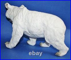 Incredible 10 antique german Heubach bisque polar bear