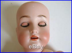 Perfect Bisque Head, 23 Antique Simon Halbig, KR German Doll, French HH Wig