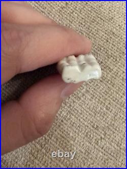 Rare 1.75 Antique German Frozen Charlotte Twin China Doll w Bonnet c1850-1870