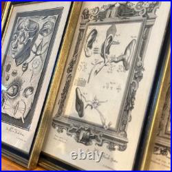 Set of Four Antique German Anatomical Copper Engraving Plate Prints Framed