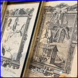 Set of Four Antique German Anatomical Copper Engraving Plate Prints Framed