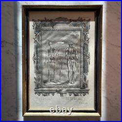 Set of Four Antique German Anatomical Copper Engraving Plate Prints Framed