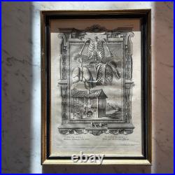 Set of Four Antique German Anatomical Copper Engraving Plate Prints Framed