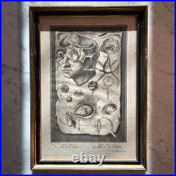 Set of Four Antique German Anatomical Copper Engraving Plate Prints Framed