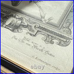 Set of Four Antique German Anatomical Copper Engraving Plate Prints Framed