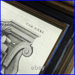 Set of Four Antique German Anatomical Copper Engraving Plate Prints Framed