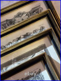 Set of Four Antique German Anatomical Copper Engraving Plate Prints Framed