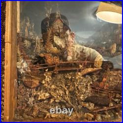 Vintage 1955 German Handmade Shadow Box Kitchen Scene Music Box Diorama Detailed