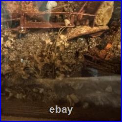 Vintage 1955 German Handmade Shadow Box Kitchen Scene Music Box Diorama Detailed