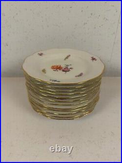 Vintage Antique German KPM Porcelain Set of 12 Plates Painted Floral Insect Dec Vintage Antique German KPM Porcelain Set of 12 Plates Painted Floral Insect Dec