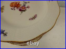 Vintage Antique German KPM Porcelain Set of 12 Plates Painted Floral Insect Dec Vintage Antique German KPM Porcelain Set of 12 Plates Painted Floral Insect Dec