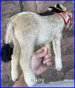 Vintage Original 12 Large Steiff Donkey Original German Steiff Donkey All IDs