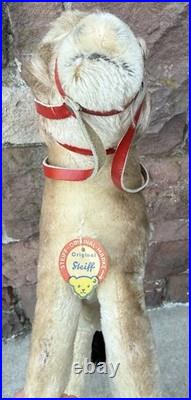 Vintage Original 12 Large Steiff Donkey Original German Steiff Donkey All IDs