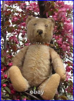 Vintage Steiff Antique Mohair Bear German Doll 1940s 1950s Collar Pooh Cute 13