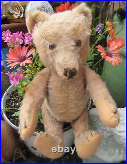 Vintage Steiff Antique Mohair Bear German Doll 1940s 1950s Collar Pooh Cute 13