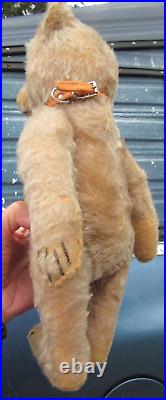 Vintage Steiff Antique Mohair Bear German Doll 1940s 1950s Collar Pooh Cute 13