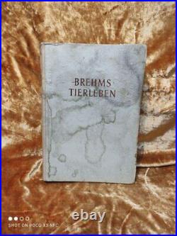 Vintage, old rare, antique, German book Brehms Tierleben 1952 Dr. Walter Rammner