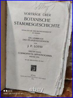 Vintage, old, rarity, antiques, German book Botanische Stammes Geschichte 1911